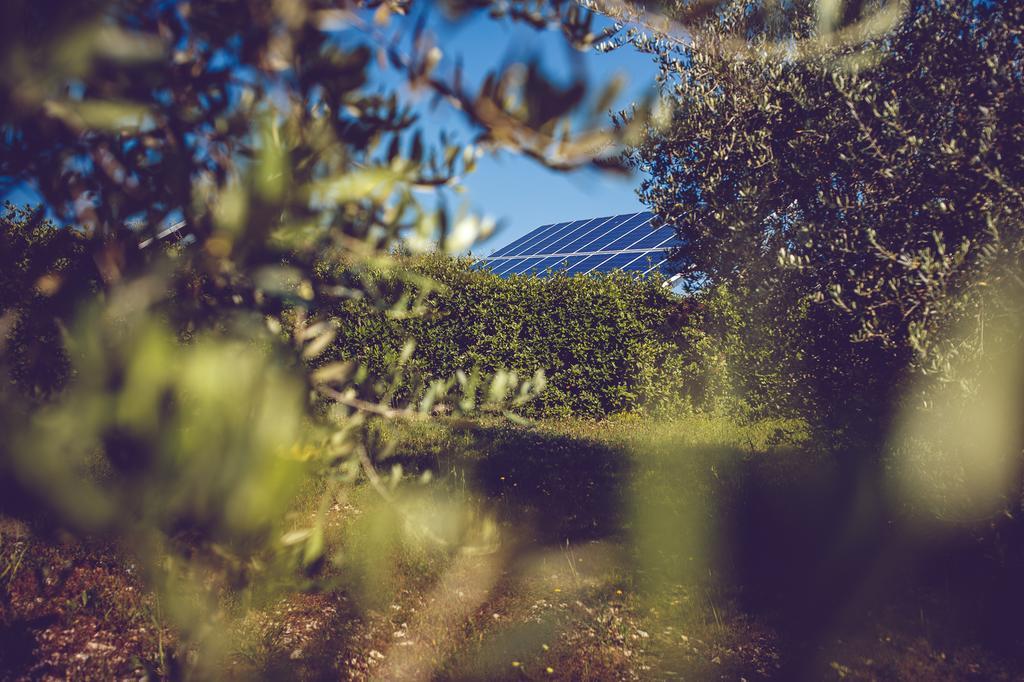 Agriturismo Casal San Sergio Фоссомброне Екстер'єр фото