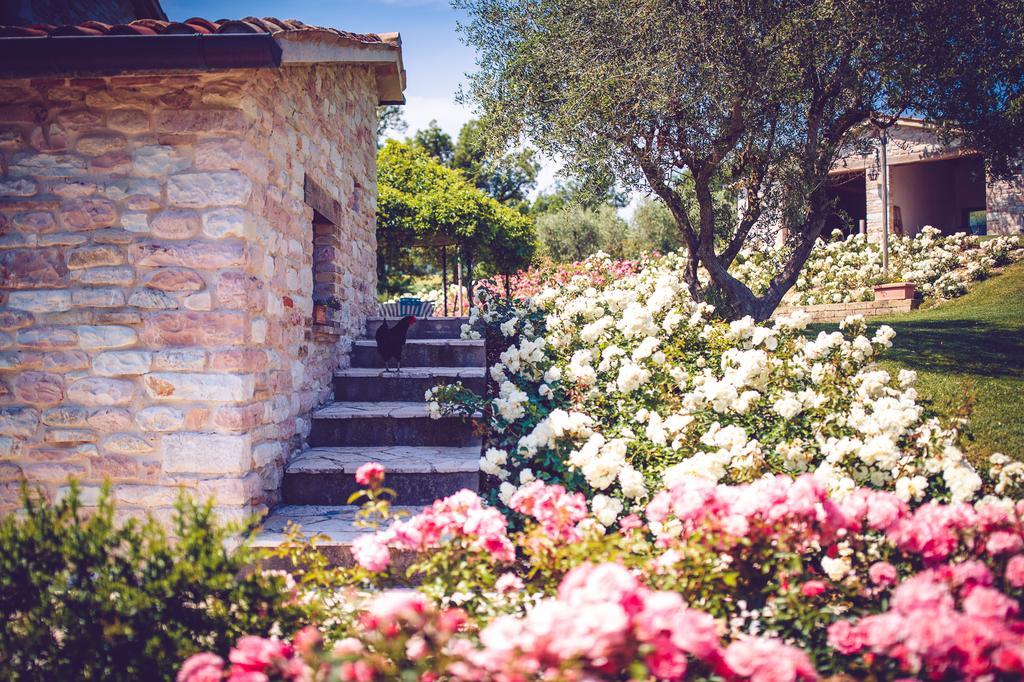 Agriturismo Casal San Sergio Фоссомброне Екстер'єр фото