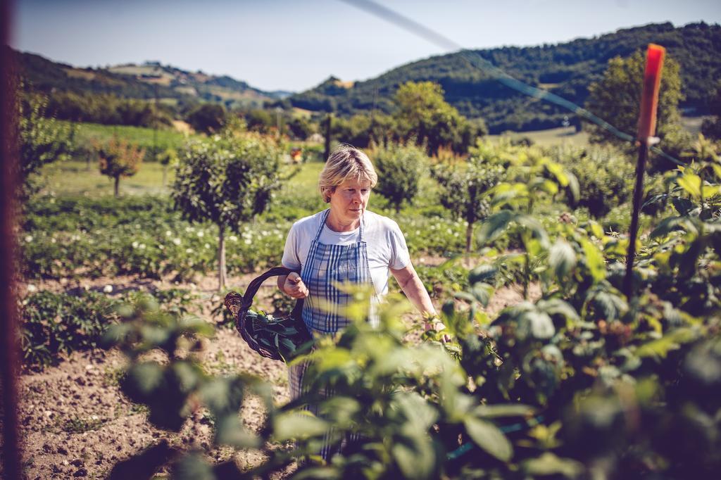 Agriturismo Casal San Sergio Фоссомброне Екстер'єр фото