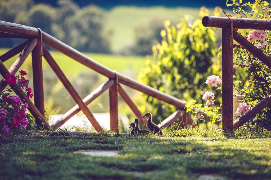 Agriturismo Casal San Sergio Фоссомброне Екстер'єр фото